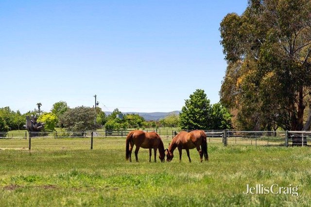 2098 Daylesford-Malmsbury Road, VIC 3461