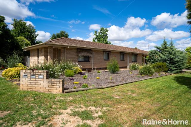 3/2 Raye Street, NSW 2650