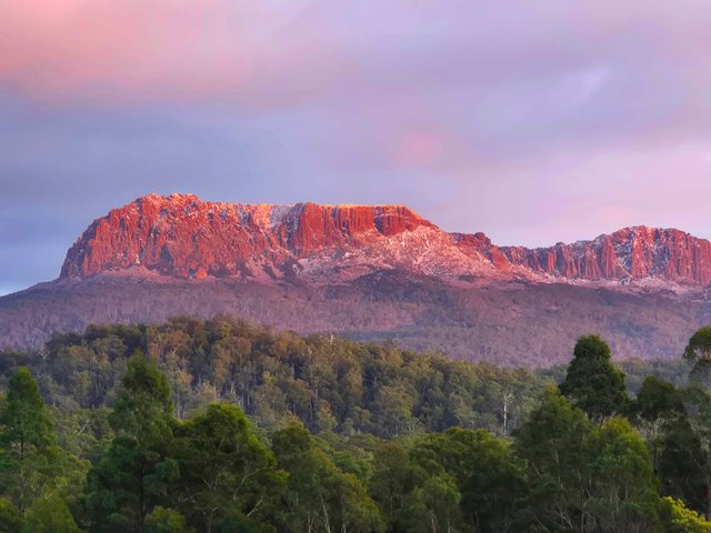 8 Walter Street, TAS 7213