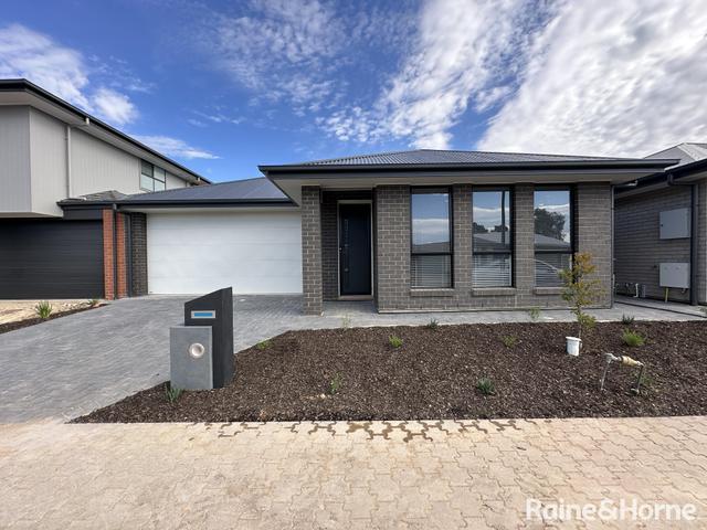13 Education Way, SA 5086