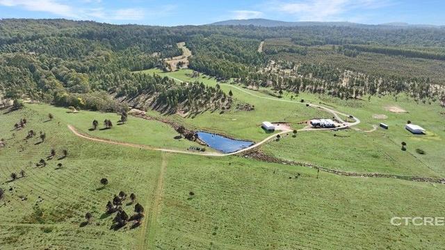 1458 Bendoc-Orbost Road, VIC 3888