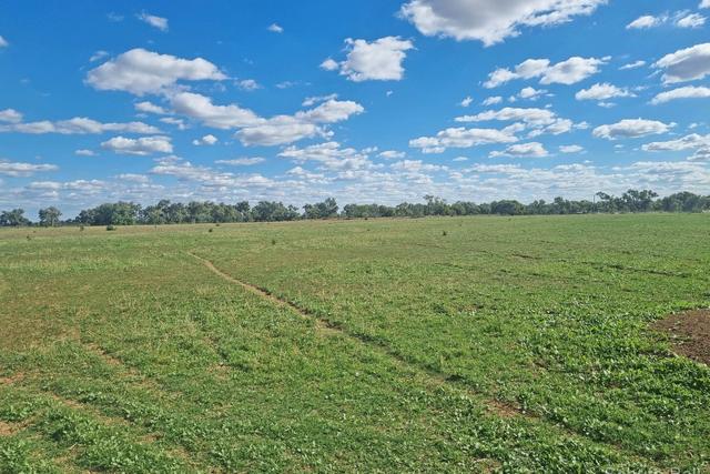 151 Burban Street, NSW 2839