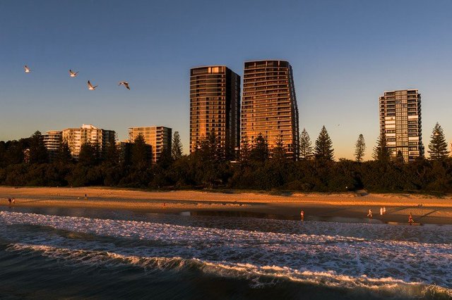 806/58 The Esplanade, QLD 4220