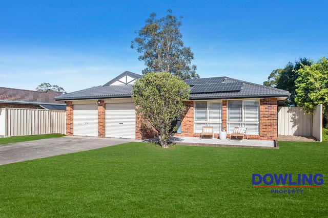 19 Mountain Ash Close, NSW 2318