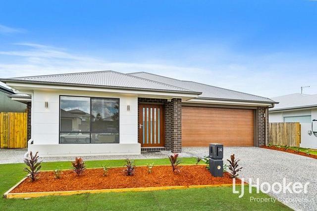 14 Hexham Street, QLD 4207