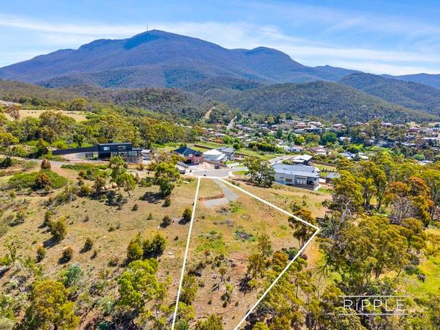 16 Bluestone Rise, TAS 7008