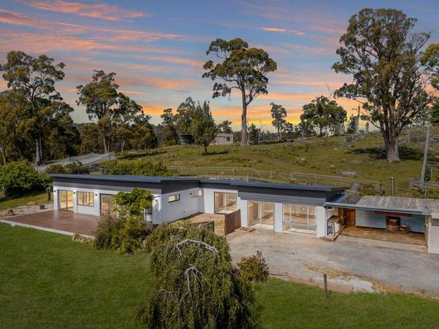 46 Traill Road, TAS 7275