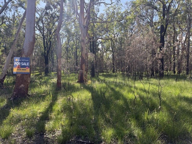 Lot 2927 Glen Innes Road, NSW 2324