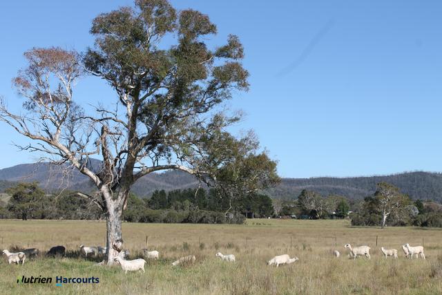 1253 Bombay Road, NSW 2622
