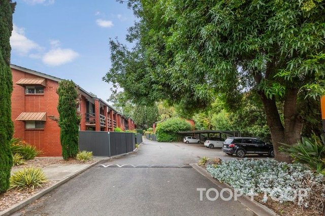 17/62 William Street, SA 5067