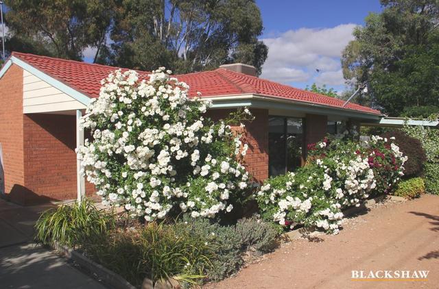 29 Bottrill Street, ACT 2905