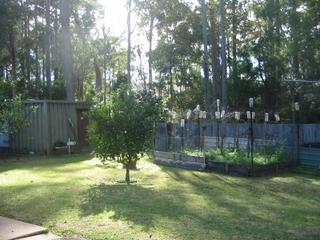 Garden (2010-07-09)