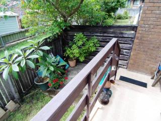 Standard Photo (2016-03-09)