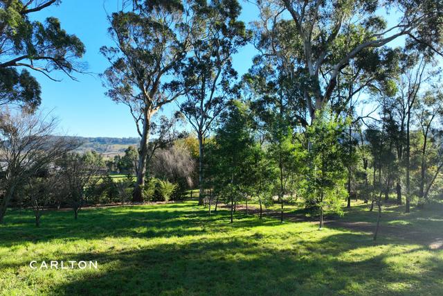 34 Mansfield Road, NSW 2576