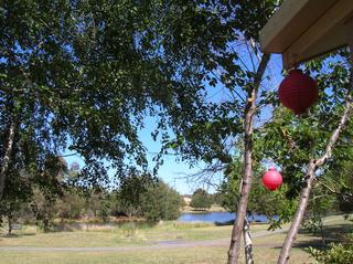 view from back door (2014-01-29)