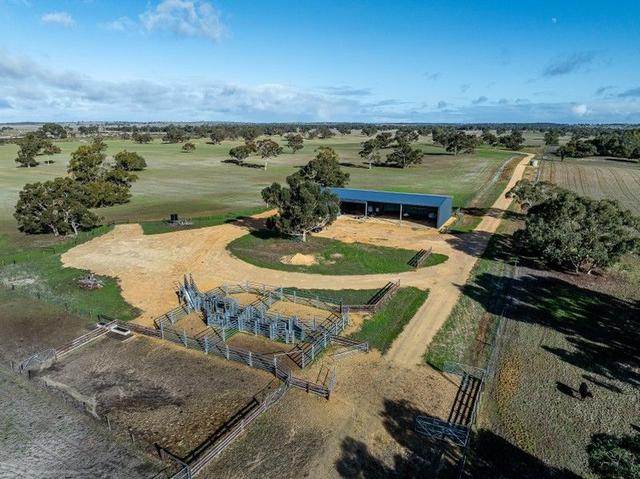 1911 Cadgee Road, SA 5271