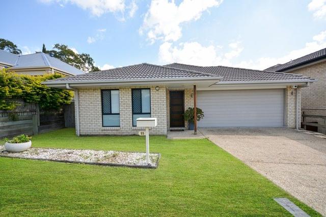 55 Waratah Crescent, QLD 4300