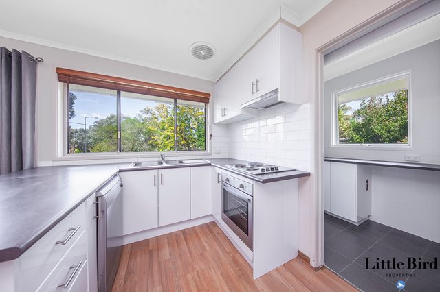 19 Percival Street, ACT 2611