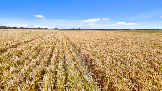 Lot 339 Kangaroo Road, SA 5255
