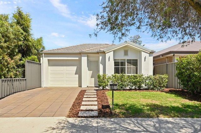 13 Scott Street, SA 5017