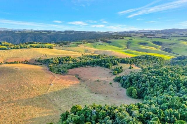 459 Dome Road, NSW 2453