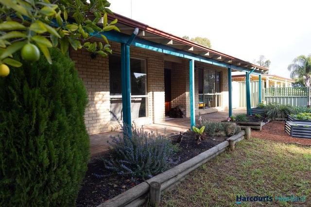 22 Struthers St, WA 6275