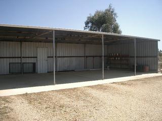 Shed (2006-10-11)