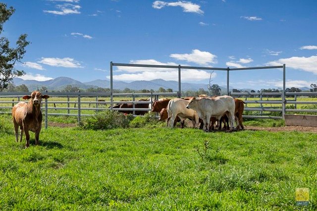 85 Colinwood  Lane, QLD 4680