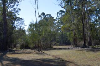 Standard Photo (2019-02-23)