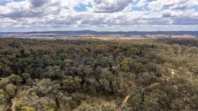 4300 Purlewaugh Road, NSW 2843