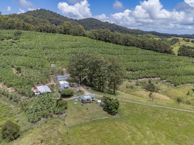 75 Colemans Rd, NSW 2448