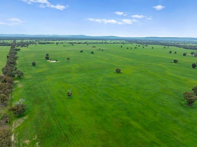 Williams Road, VIC 3608