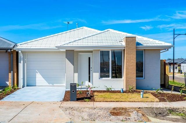 41 Rice Flower Crescent, VIC 3338