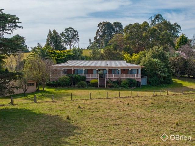 31 Cunningham Court, VIC 3903