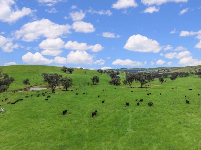 'Horse Gully' Old Waugoola Road, NSW 2793