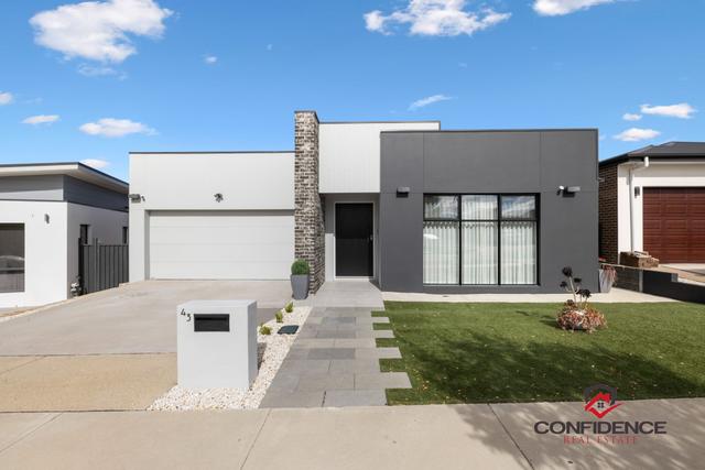 43 McCredie Street, ACT 2913
