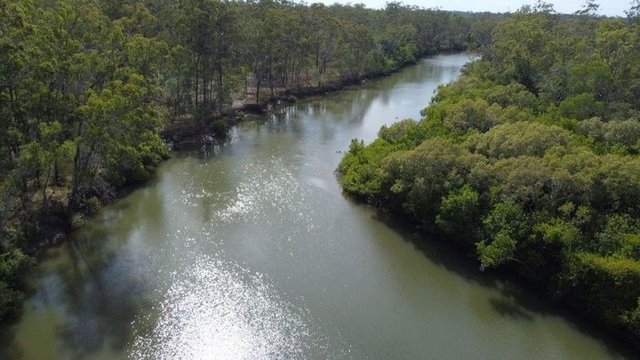 310 Mollenhagens Road, QLD 4670