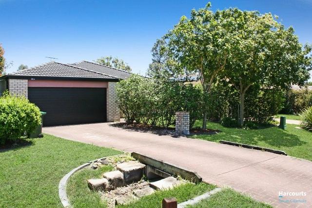 34 Goongarrie Crescent, QLD 4115