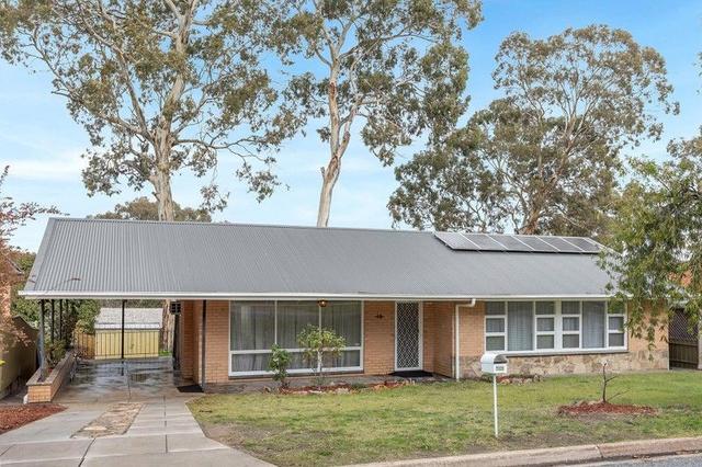 19 Caspar Street, SA 5126