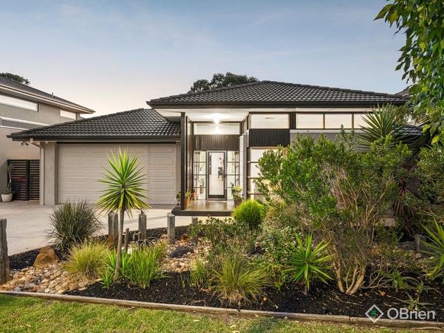 20 Daintree Drive, VIC 3977