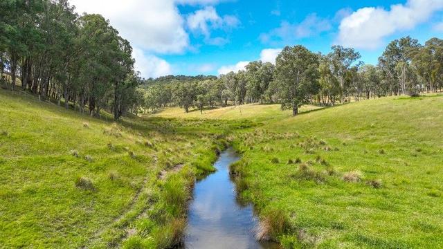 830 Weabonga Road, NSW 2340