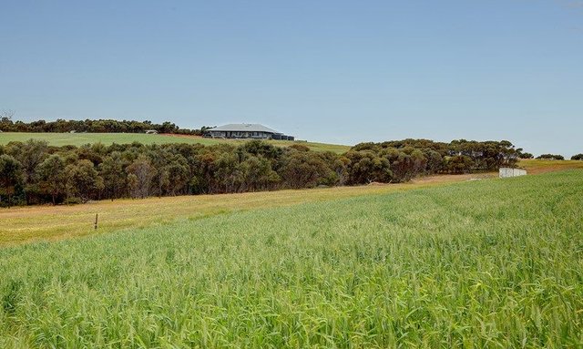 84 Lovegrove Lane, SA 5607