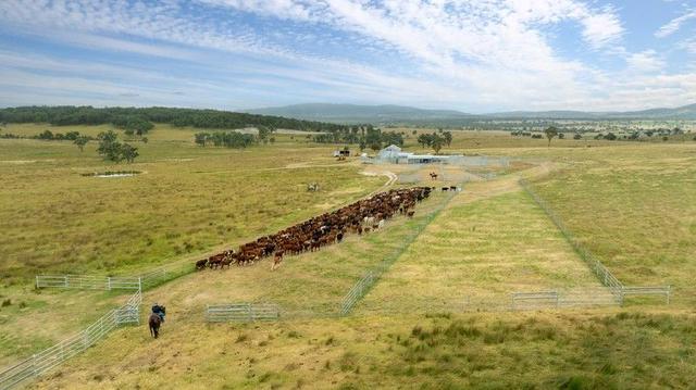 'Dunvegan'/161 Nine Mile Road, NSW 2370