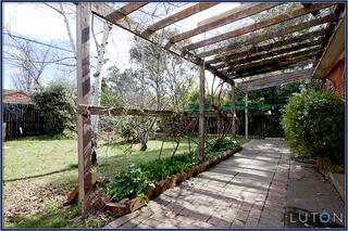 Rear Yard (2011-08-31)