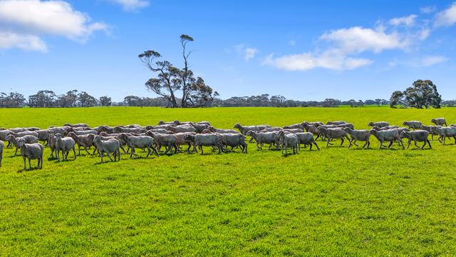 378 Jones Road, SA 5261