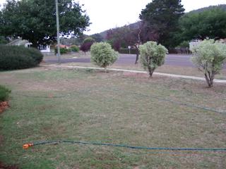 Frontyard (2006-03-30)