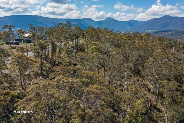 54 Bull Oak Way, TAS 7109