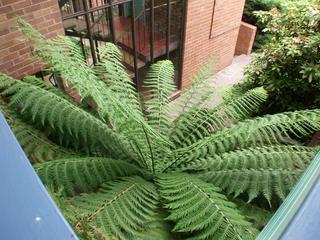 View (2005-11-24)