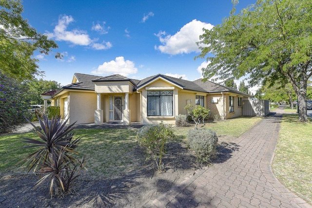 16 Minkie Avenue, SA 5043