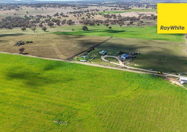 154 Delungra Bypass Road, NSW 2360